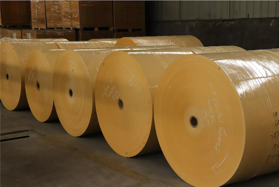 Tough CAD Plotter Paper Recyclable White Roll Engineering